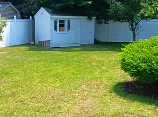 Mitchell M.'s lawn care services service result