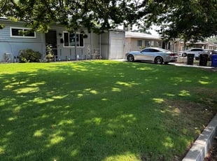 Roshunda F.'s grass maintenance service result