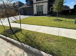 Ruben S.'s lawn service service result