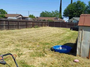 Kim K.'s grass maintenance service result