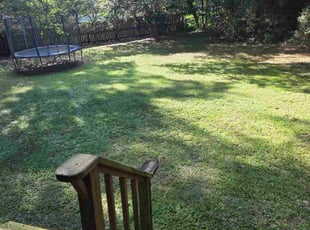 Natalie P.'s lawn care services service result