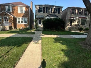 Dr. L.'s grass maintenance service result