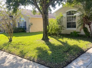 Licia R.'s lawn care service result