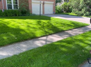 Avril C.'s lawn care services service result