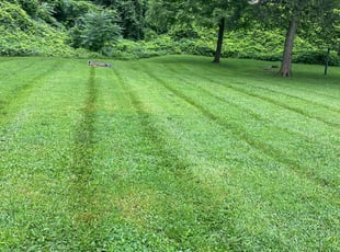 Brandon M.'s lawn service service result