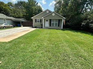 Ken W.'s turf care service result