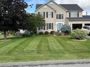 Latesha H.'s grass cutting service result