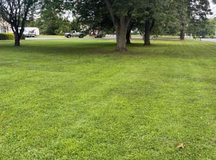 Austin M.'s lawn care service result