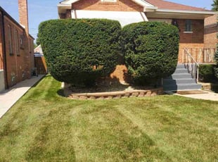Laurie S.'s Bush Trimming service result
