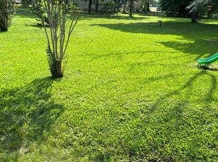 Jimmie J.'s lawn service service result