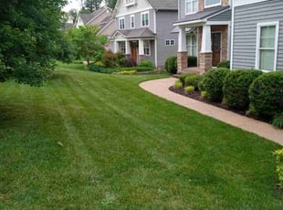 Aubrie R.'s turf maintenance service result