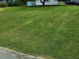 Leon E.'s lawn care service result