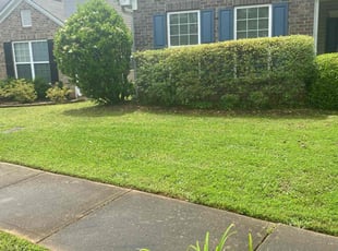 Sonja M.'s lawn service service result