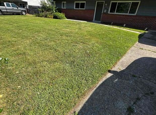 Robin F.'s lawn service service result