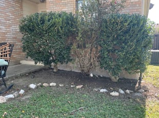 Jose A.'s Bush Trimming service result