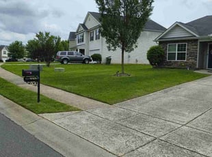 Linda L.'s lawn care service result