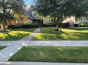 Donna M.'s turf care service result