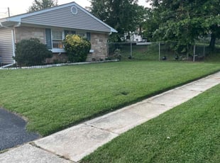 Shabnam K.'s grass cutting service result