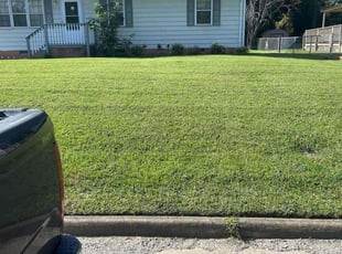 Teresa P.'s Bush Trimming service result