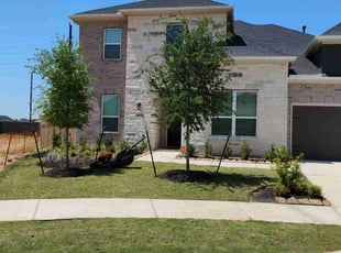 Kenneth D.'s lawn care services service result