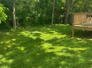 Leticia V.'s turf care service result
