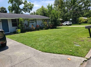 Lisa S.'s turf care service result