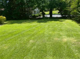 Jay B.'s lawn care service result