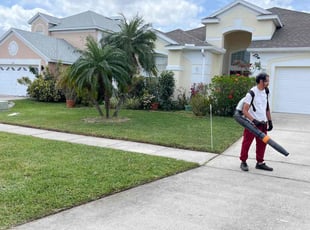 Travis W.'s grass maintenance service result