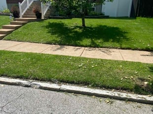 Marc S.'s landscape maintenance service result
