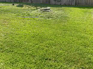 Paul S.'s grass maintenance service result