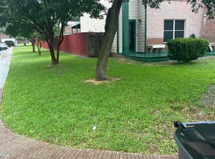 Louis G.'s lawn maintenance service result