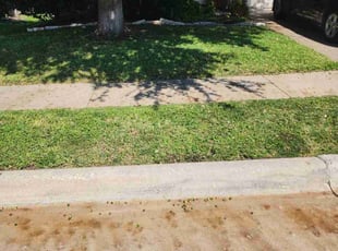 Ronni D.'s lawn service service result