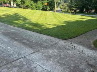Deborah R.'s lawn care services service result