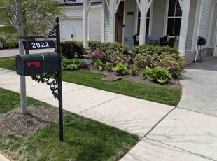Michael B.'s lawn maintenance service result