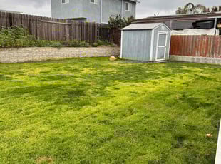 Adraine K.'s lawn care services service result