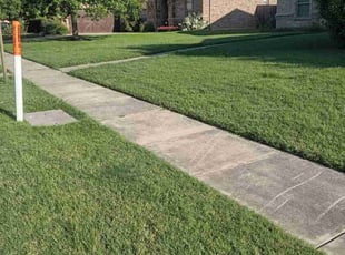 Collin W.'s lawn service service result