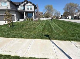 Nikki M.'s lawn service service result
