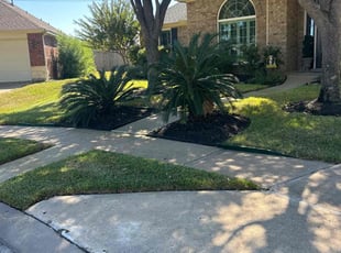 Darlene C.'s grass cutting service result