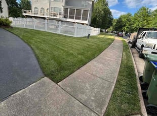Ryan B.'s lawn care services service result