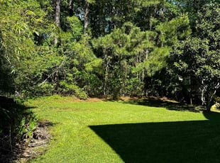 Craig C.'s lawn maintenance service result