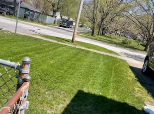Richard V.'s lawn care service result
