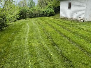 Elizabeth M.'s lawn service service result