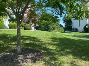 Eric S.'s lawn service service result