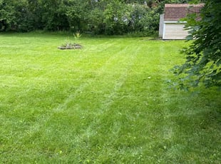 Brandy M.'s lawn care service result