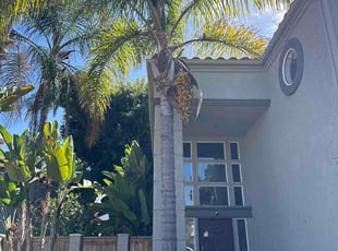 Jayne C.'s Bush Trimming service result