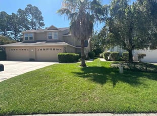 Steve P.'s lawn maintenance service result