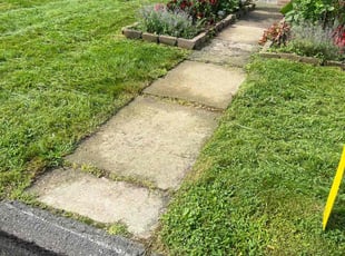 Tracie D.'s grass cutting service result