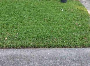 Kellie W.'s turf maintenance service result