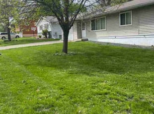 Ryan M.'s grass maintenance service result