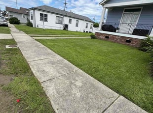 Cecily D.'s turf maintenance service result